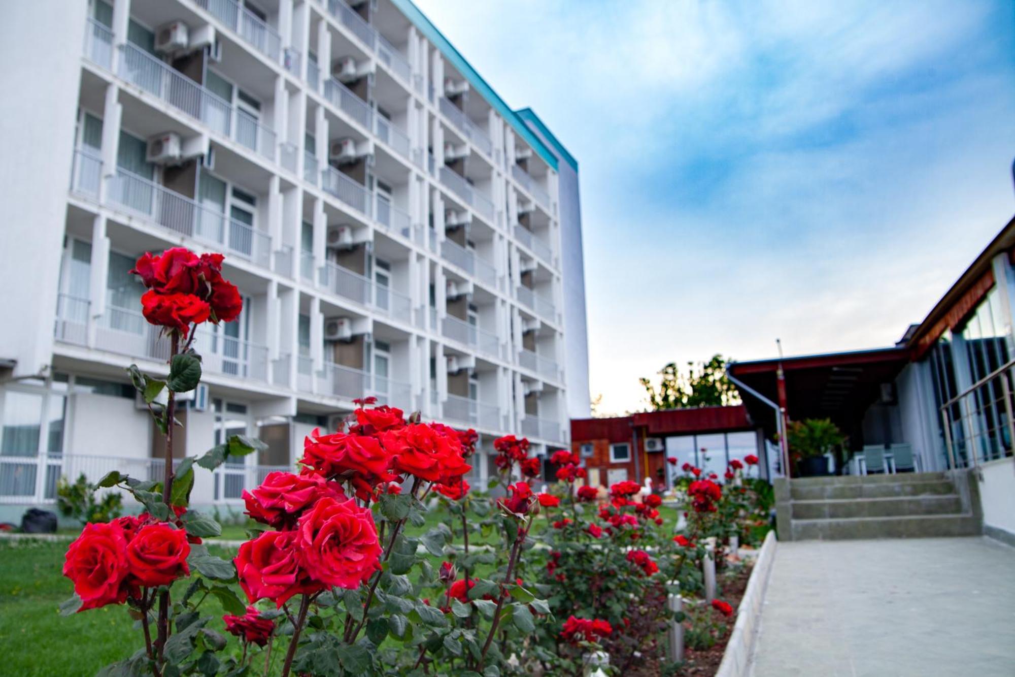Hotel Carmen Azzuro Venus Zewnętrze zdjęcie